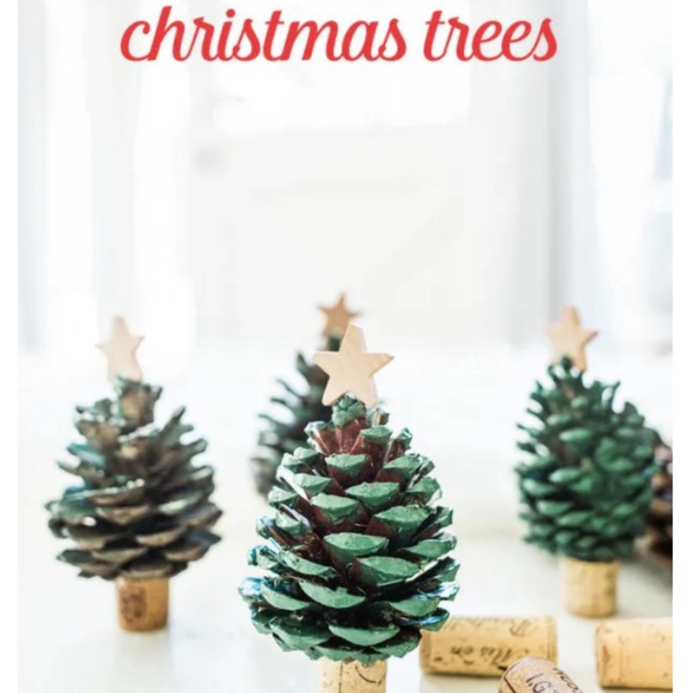 Crafting 45 Large Pinecones Berkshire Mountain White Pines assorted 3” 4” 5” - Picture 2 of 4